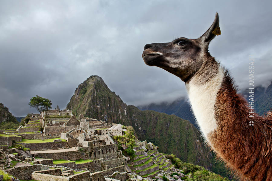 Hiram Bingham Mach Picchu
