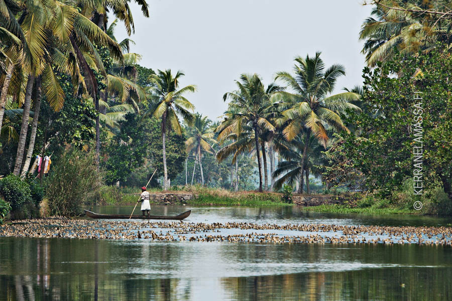 Kerala_Intia_05