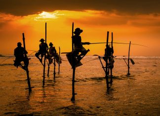 Sri Lanka -matkaopas