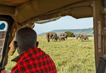 afrikan safari kokemuksia