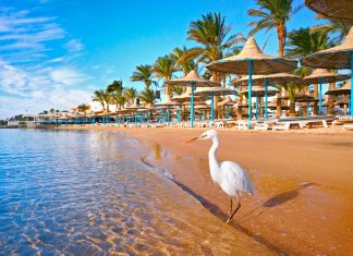 Hurghada – tällainen on Egyptin paras rantakohde egypti hurghada ranta