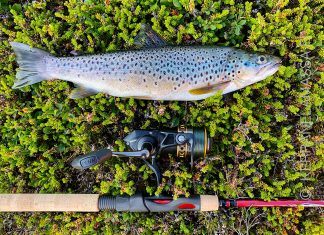 Kalastus Finnmarkissa – vinkit Pohjois-Norjan tuntureilla kalastamiseen taimen Norja