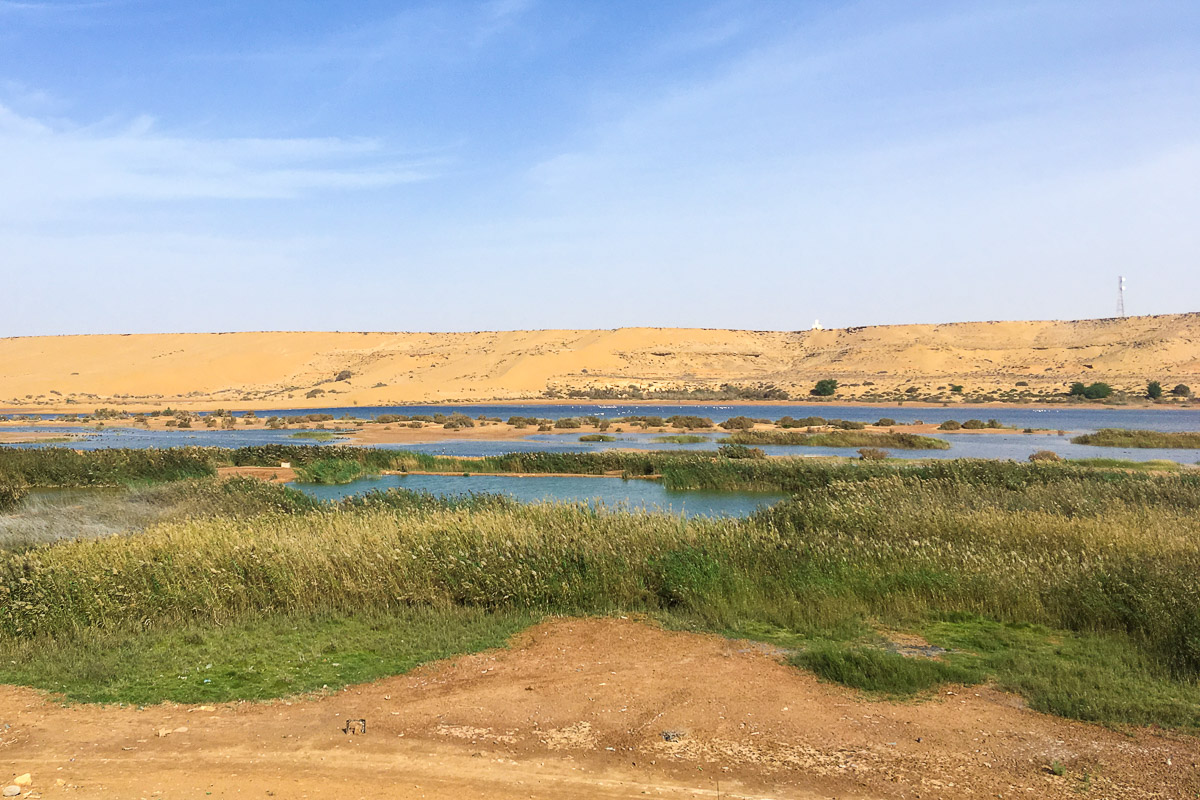 Länsi-Sahara jokilaakso