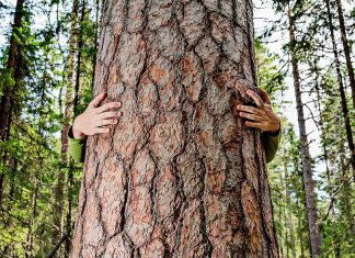 Ripaus Madventures-magiaa ja kuinka Storytel pelasti päiväni Suomen kansallispuistot Pyhä-Häkki