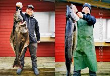 Norja kalastus pallas