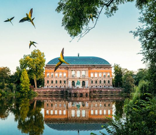 dusseldorf nähtävyydet