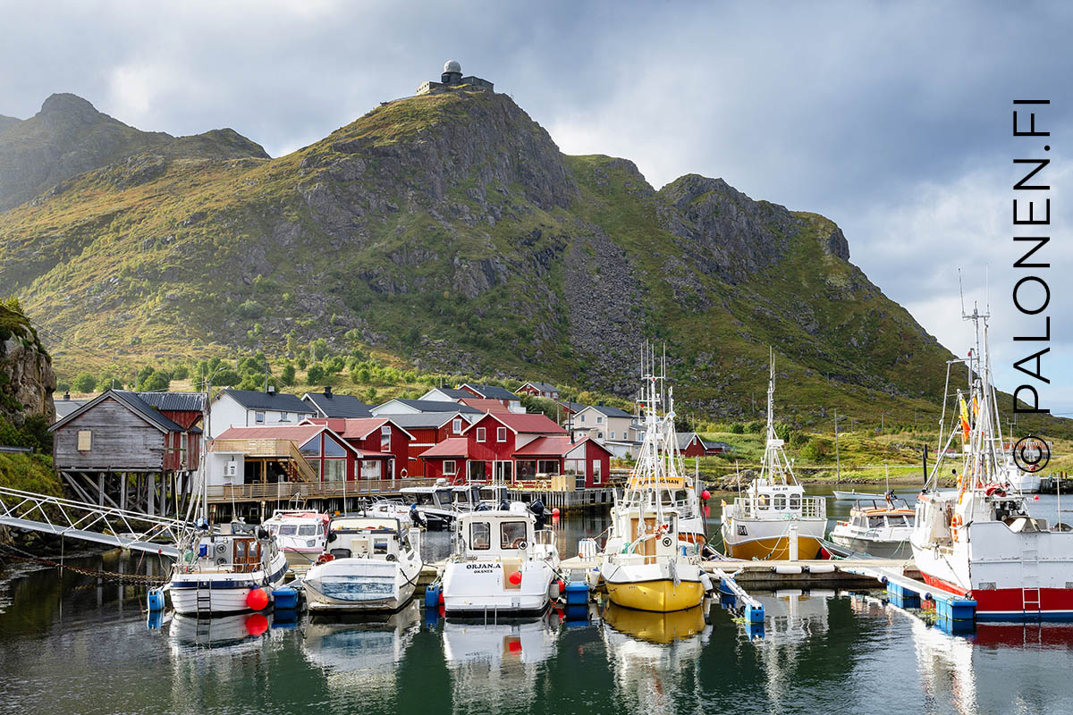 stö vesterålen
