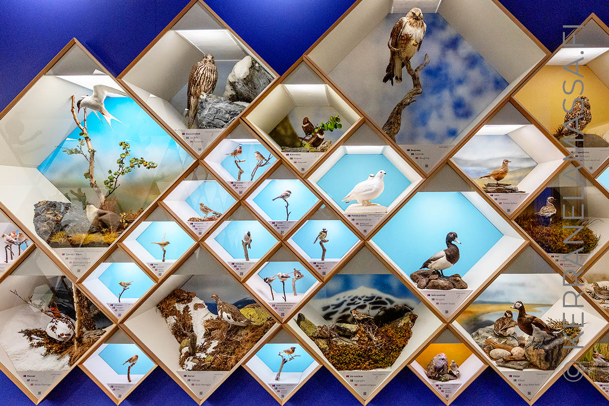 Saamelaismuseo Ajtte Ruotsi