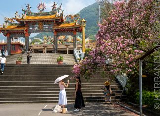 Taiwan – opas temppeleiden, ruokatorien ja vuoristomaisemien saarelle Wuji Tianyua sakura