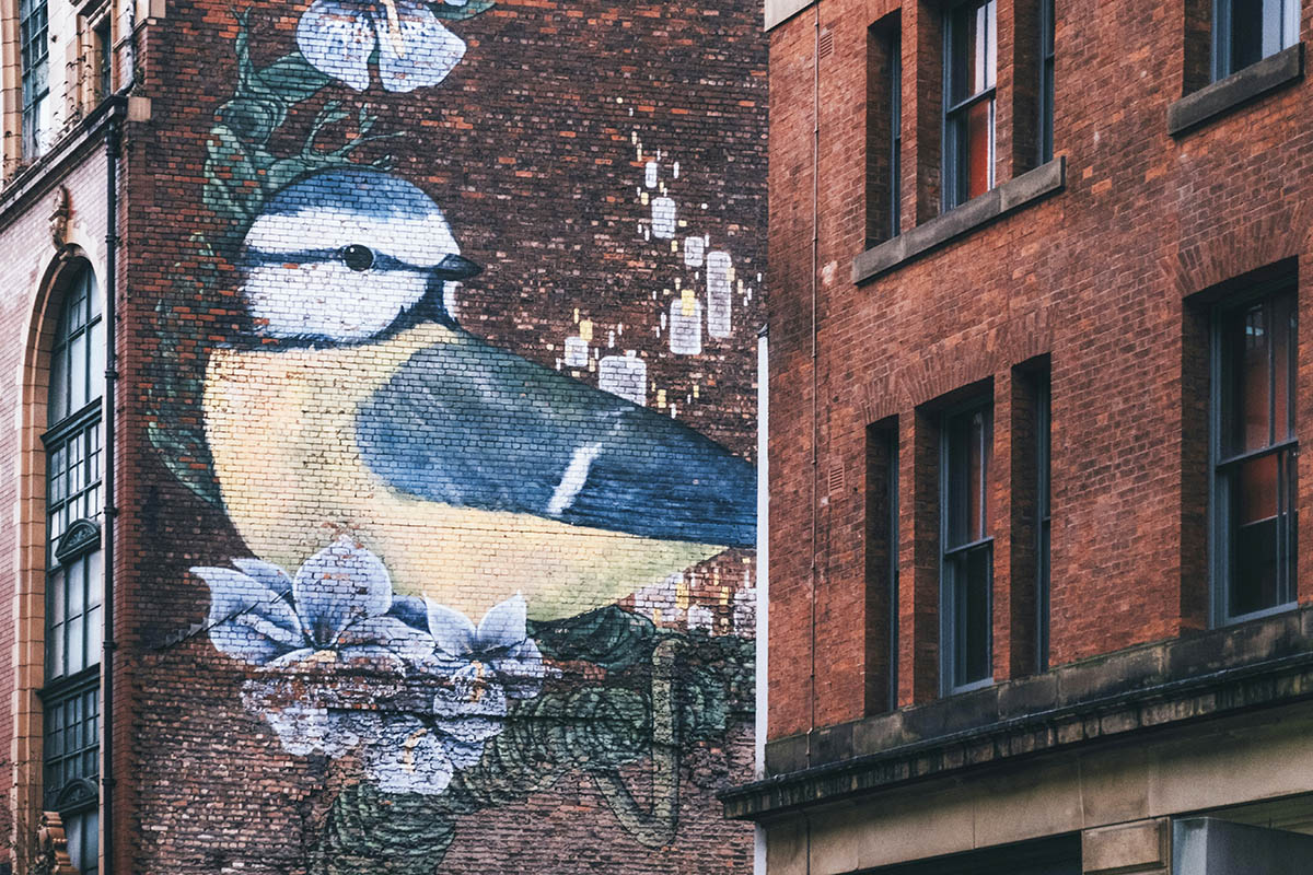 Manchester katutaide