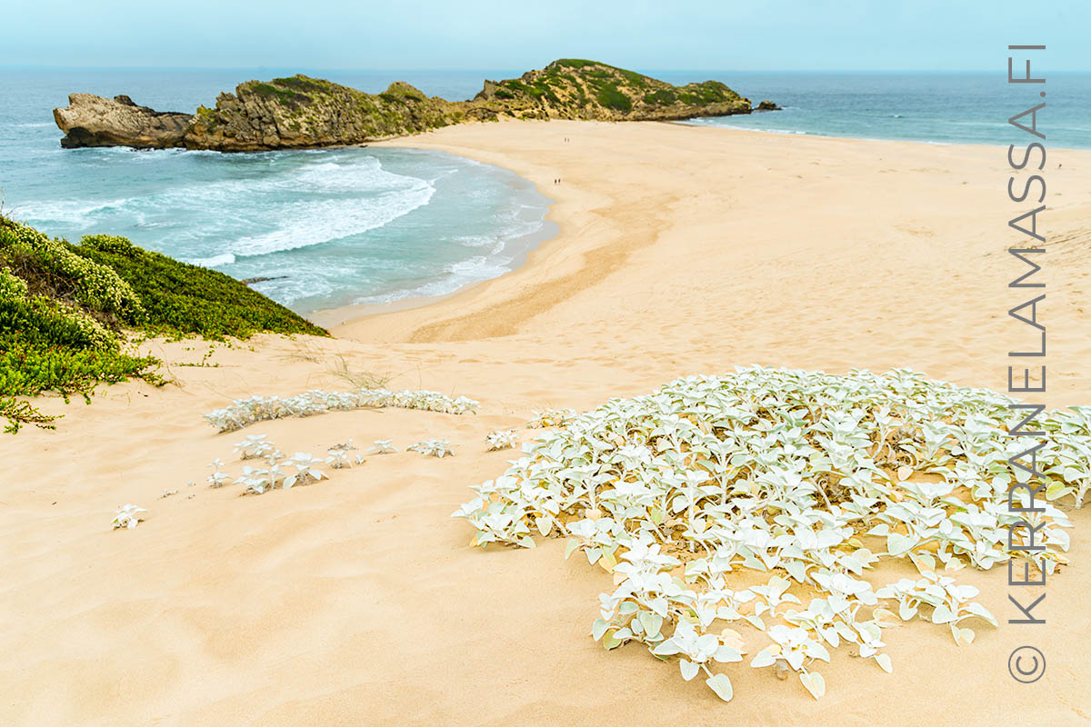 Robberg Etelä-Afrikka