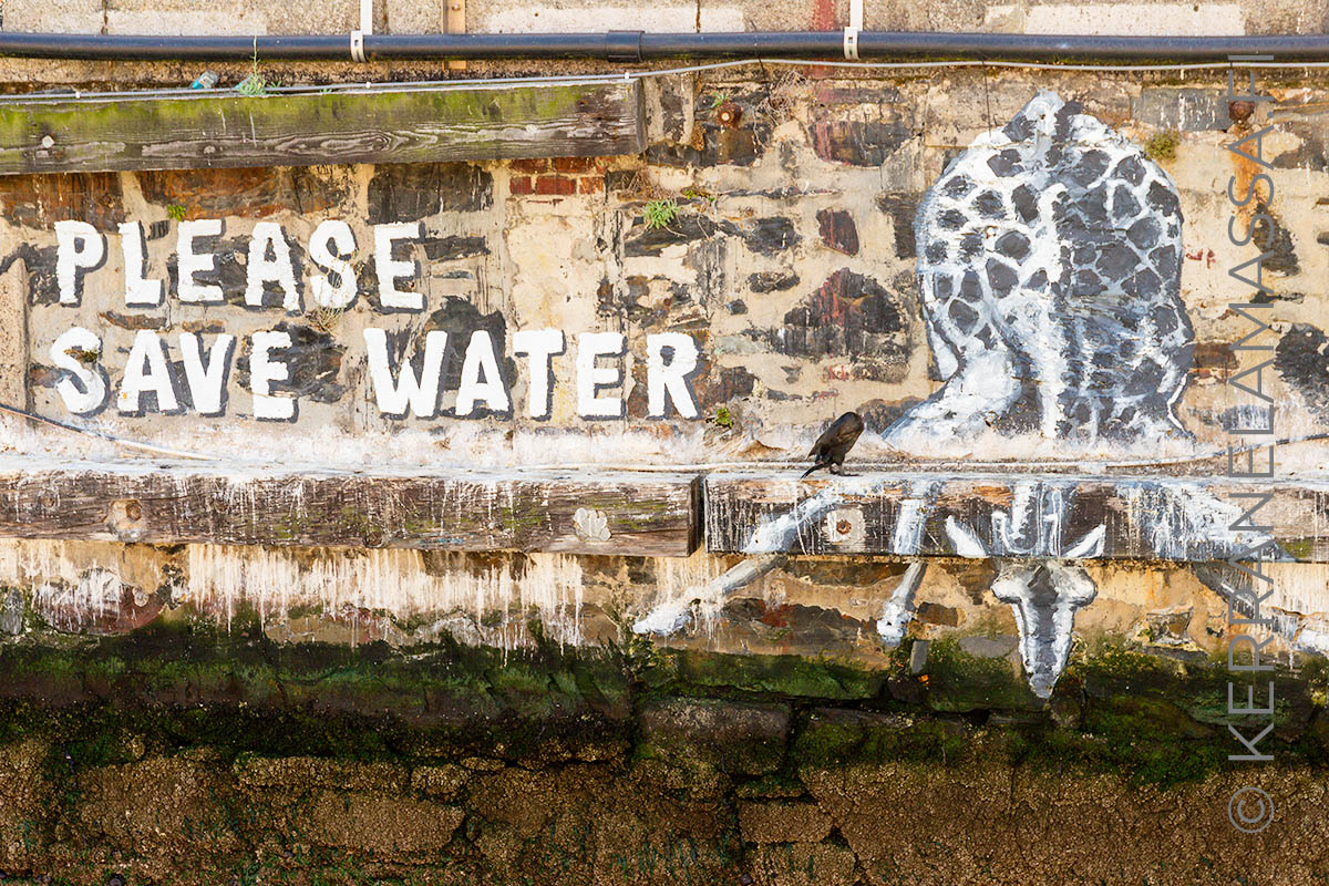 Kapkaupunki vesipula