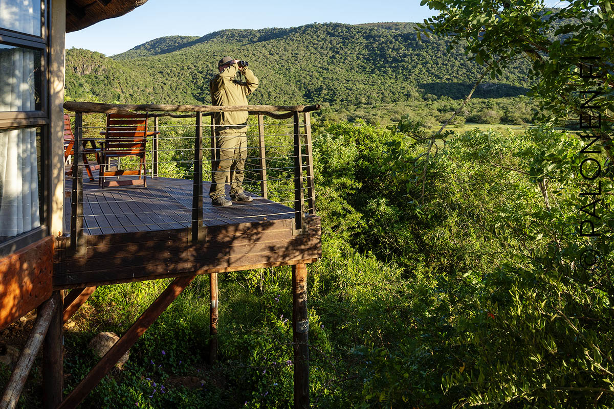 Addo majoitus Etelä-Afrikka