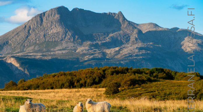 Helgeland – upea rannikkoreitti Pohjois-Norjassa